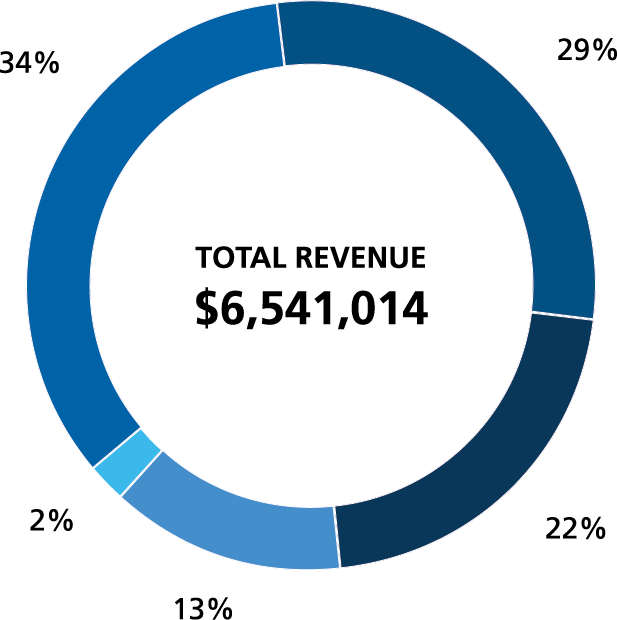 2025 Operation Eyesight Revenue